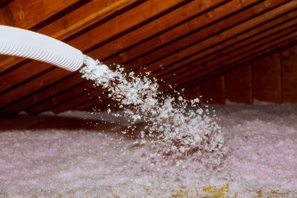 Best Eco-Friendly Insulation in Ortonville, MN