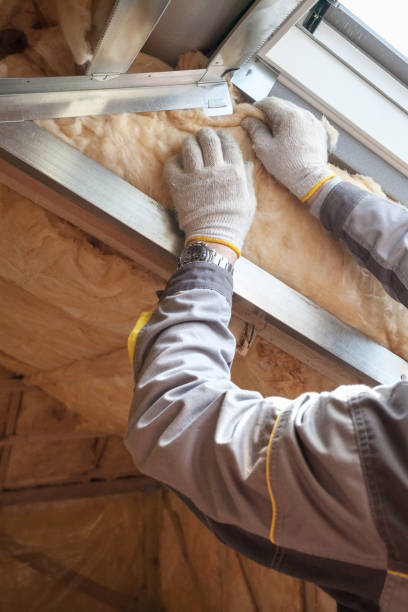 Best Residential Insulation in Ortonville, MN