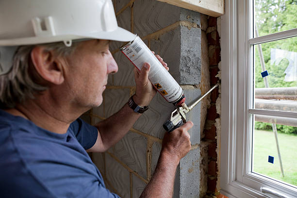 Best Geographic-Specific Insulation Services in Ortonville, MN